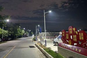 华体会(中国)集团罗宁弟爱心捐赠路灯，点亮乡村路温暖乡民心